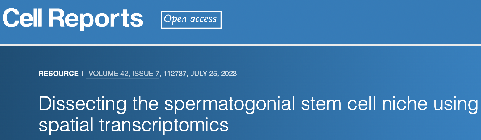[July 2, 2023] Our research article on dissecting the spermatogonial stem cell niche using spatial transcriptomics is published!